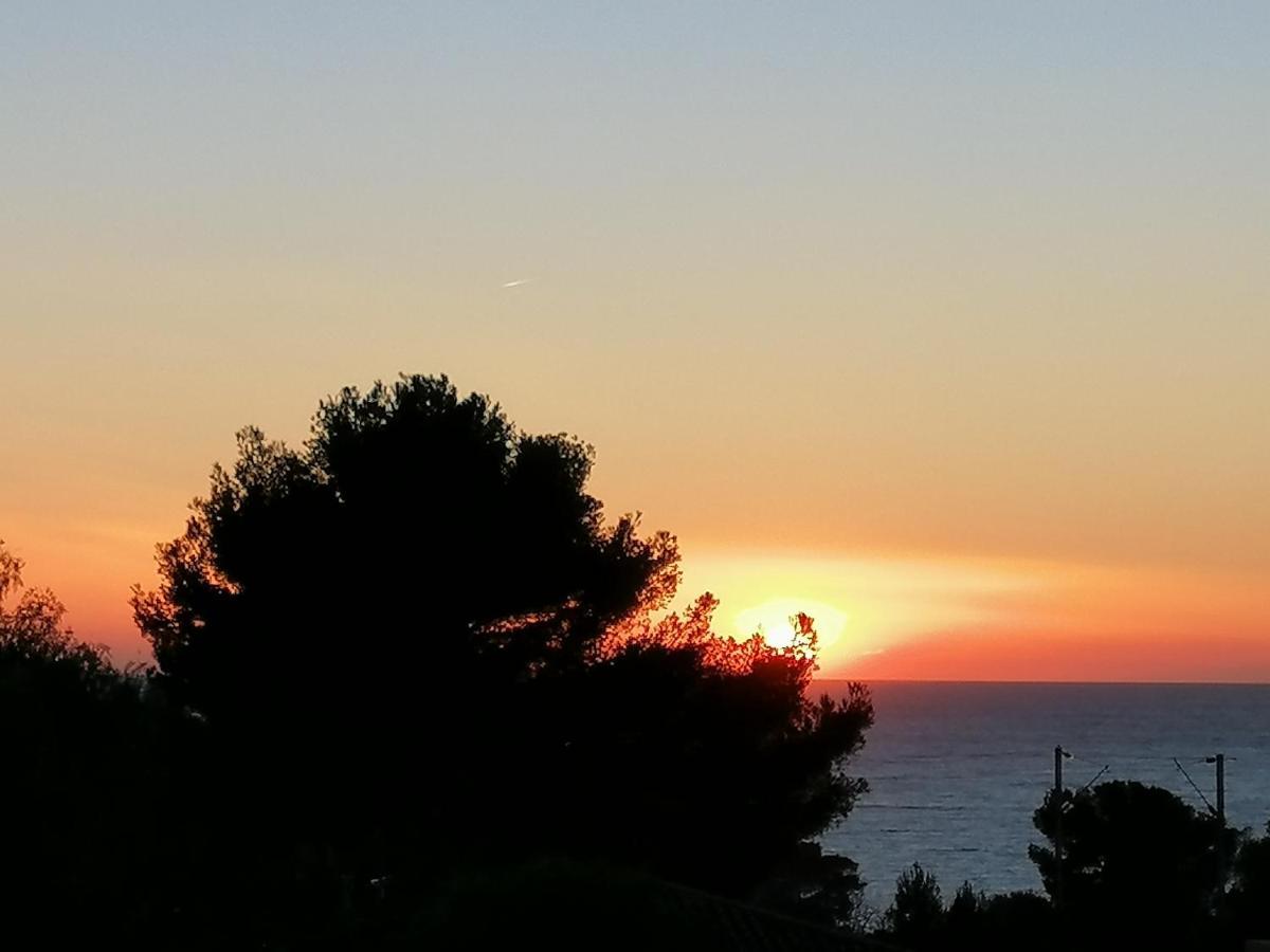 Sanary Les Gorguettes, Studio Avec Terrasse Vue Mer, A 10 Min A Pieds De La Plage 外观 照片